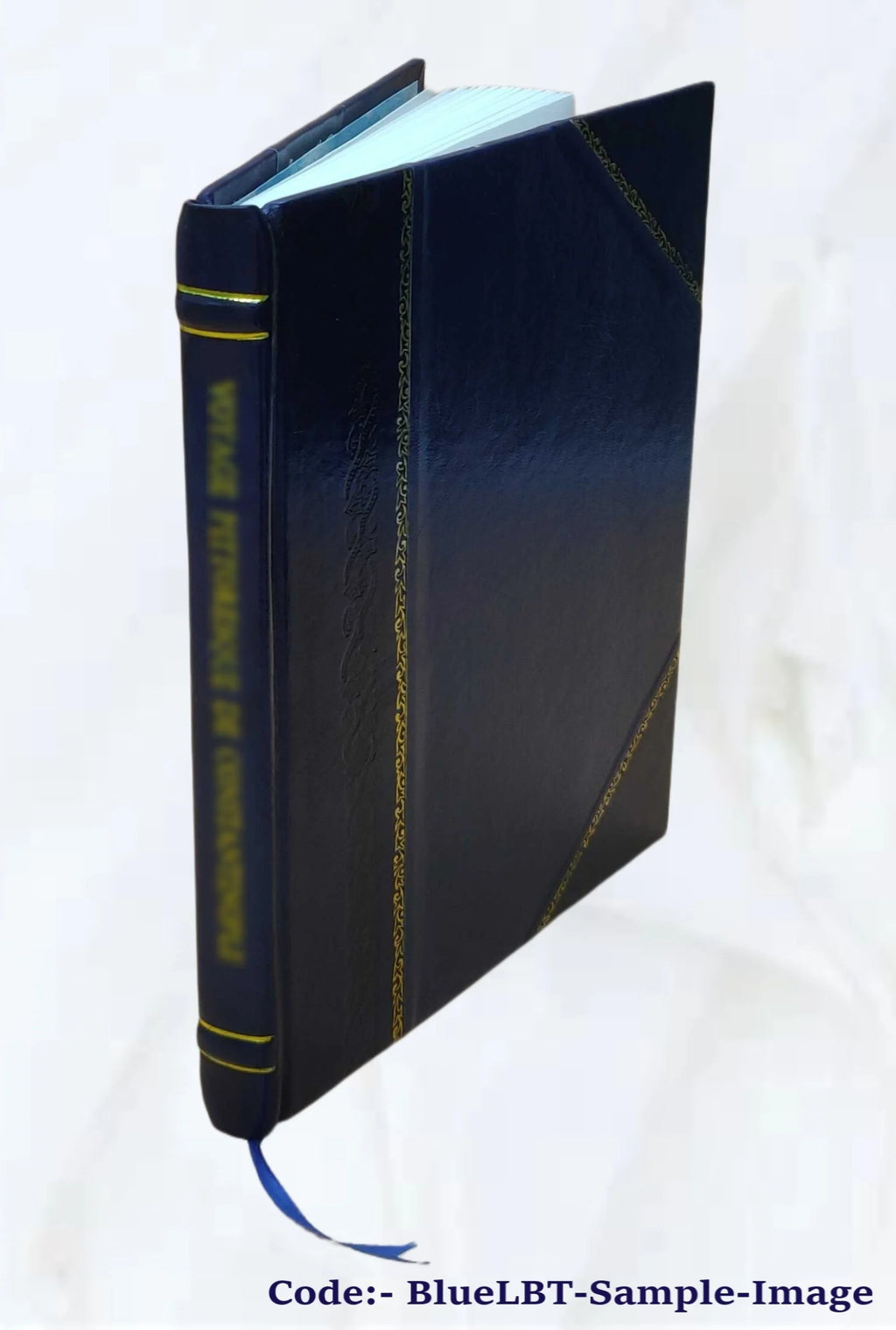 Le plan astral (2e édition revue et corrigée) par C. W. Leadbeater, traduit de l'anglais 1906, Leather Bound G64390