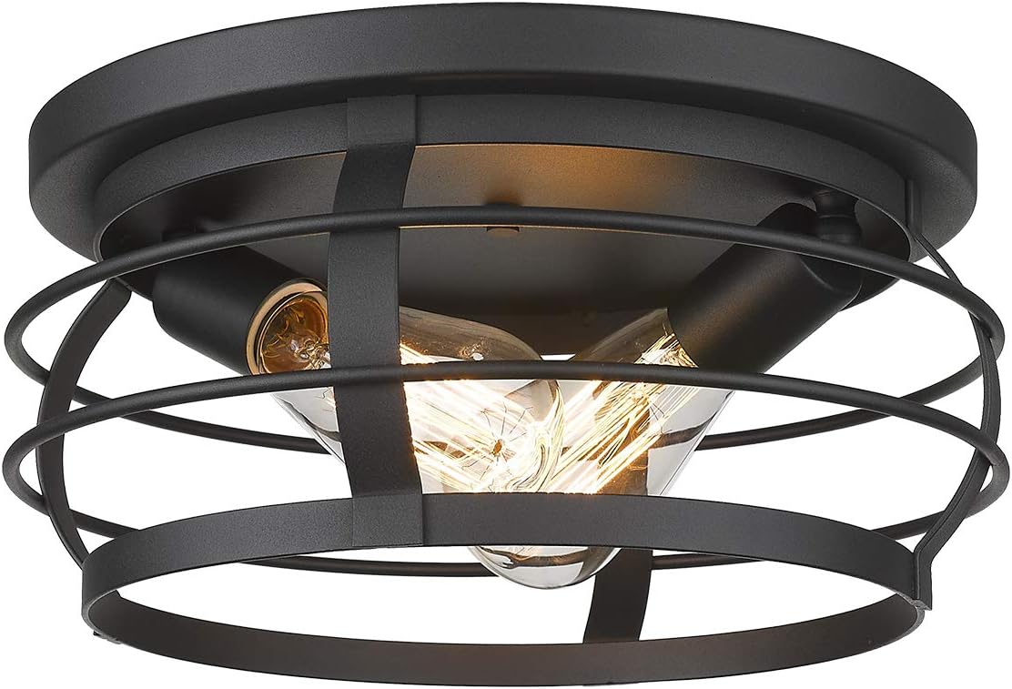 Industrial Flush Mount Ceiling Light, 12inch Farmhouse Metal Cage, Black Finish W13957