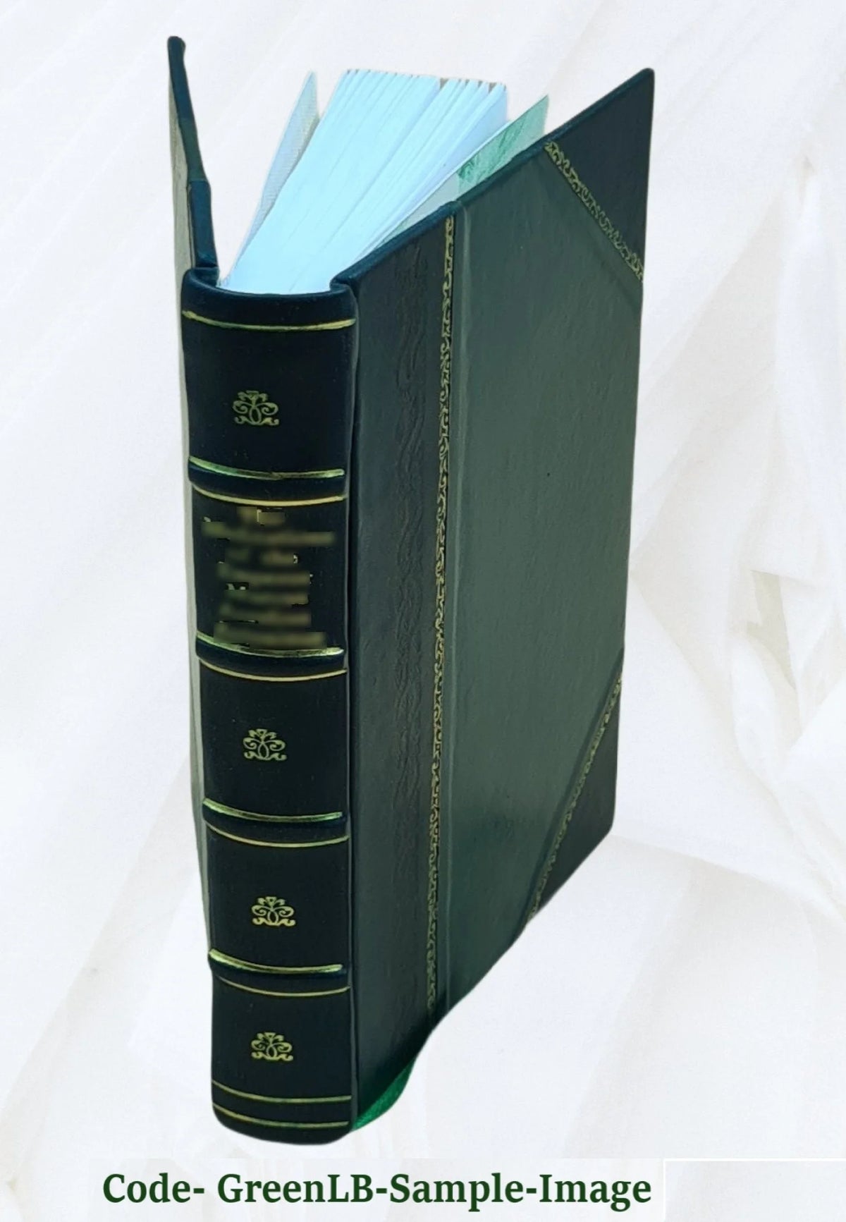 Leather Bound Book Z9562