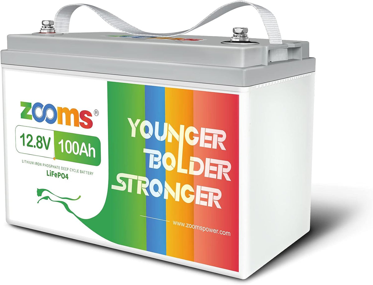 12V 100Ah LiFePO4 Deep Cycle Battery L31277