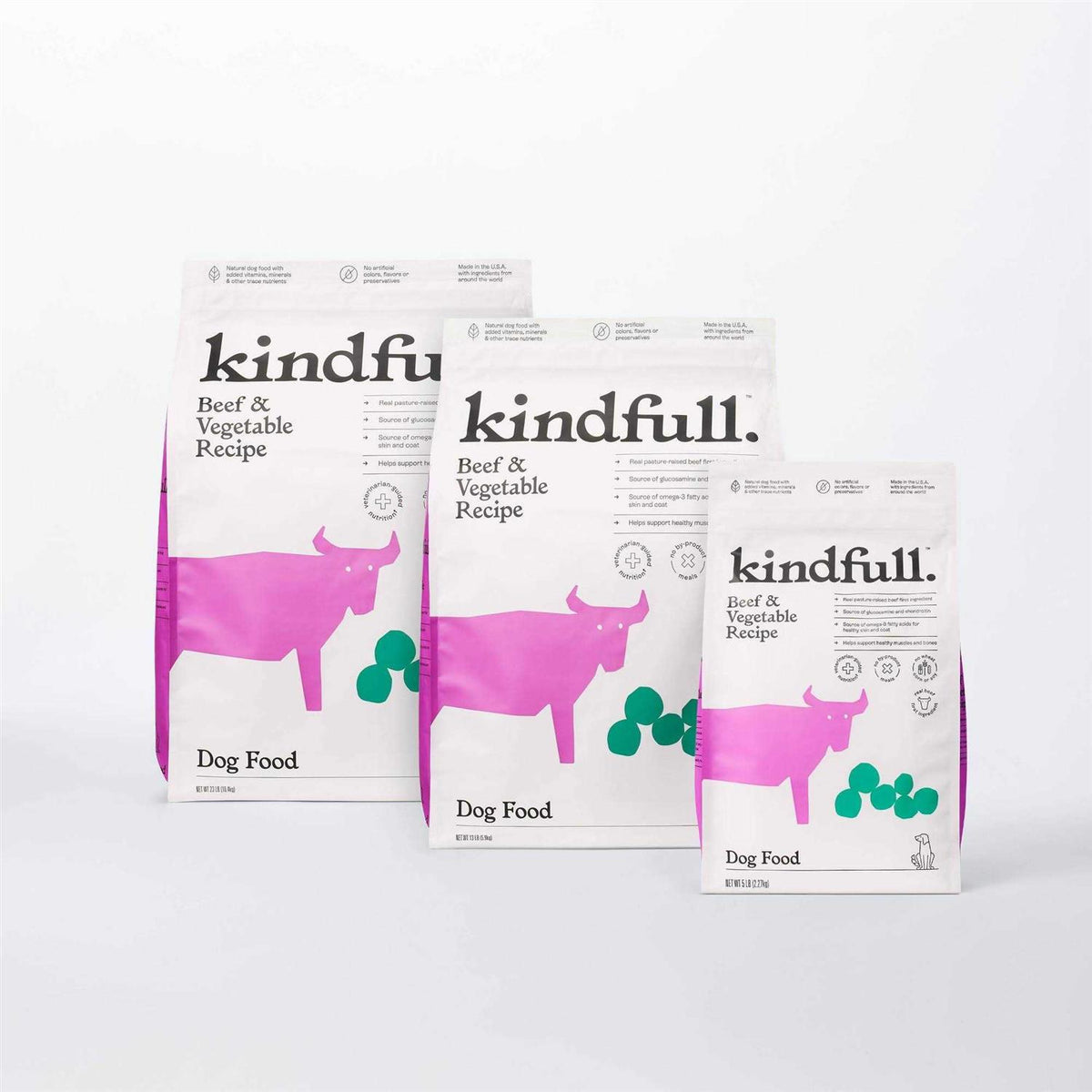 Beef and Vegetable Recipe Dry Dog Food P62698