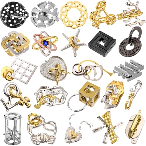 24 Pcs Metal Brain Teaser Puzzles B227