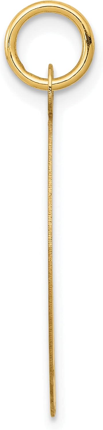10K Yellow Gold Pendant Charm W744