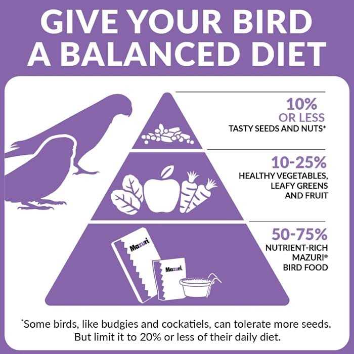 Parrot Maintenance Bird Food G527685