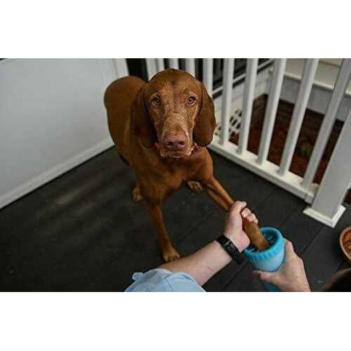 Portable Dog Paw Cleaner G995