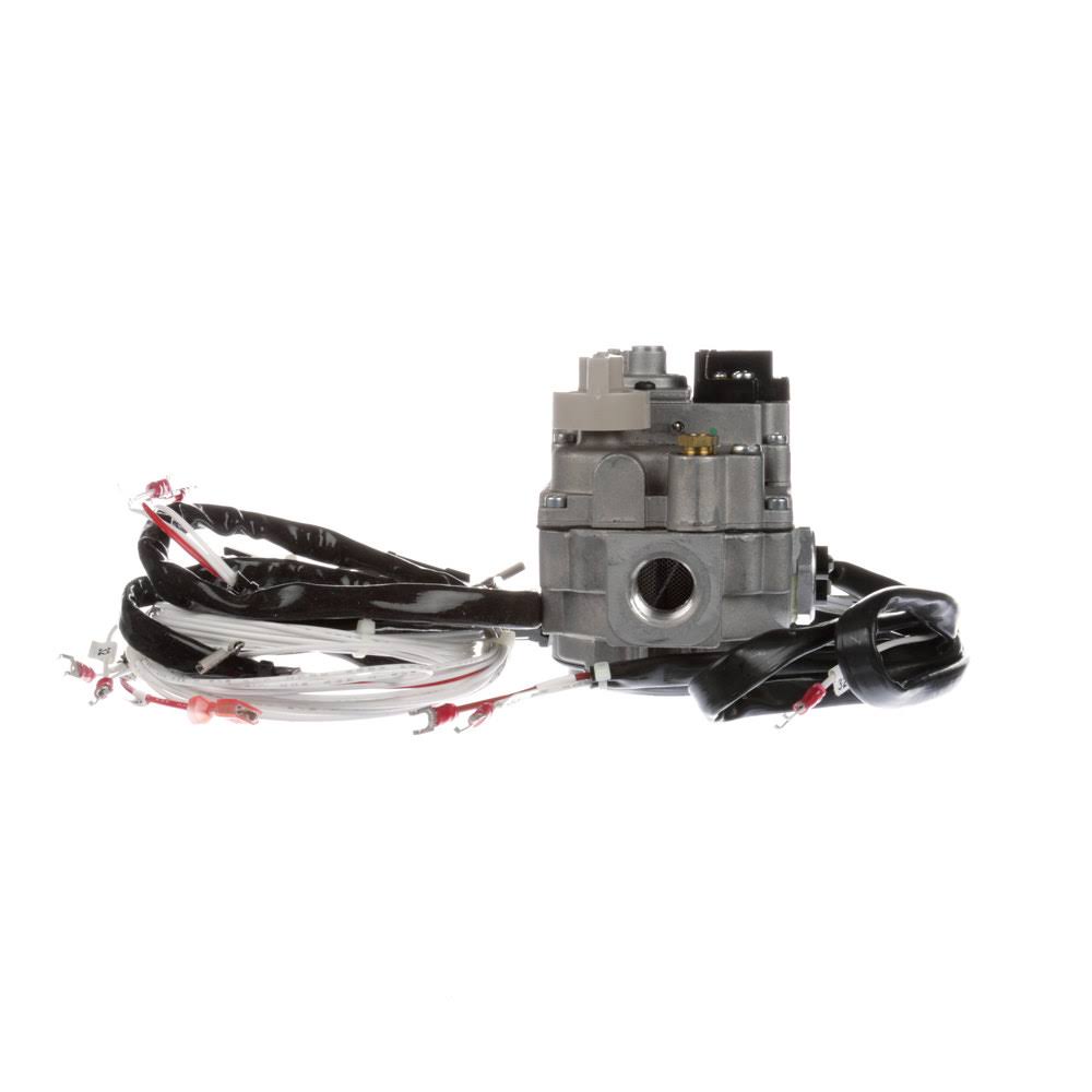 OEM GAS Valve w/ Harness P58001