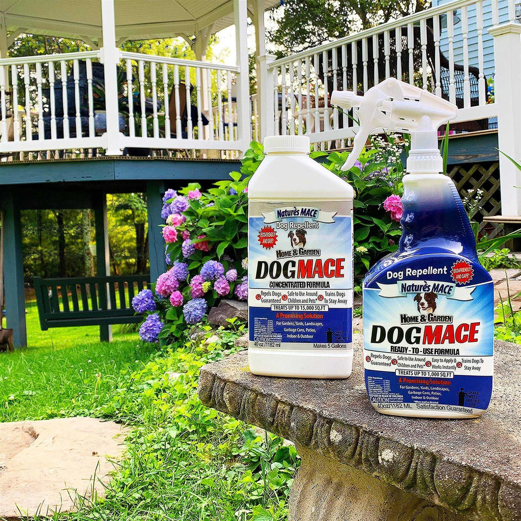 Dog Repellent Y4477
