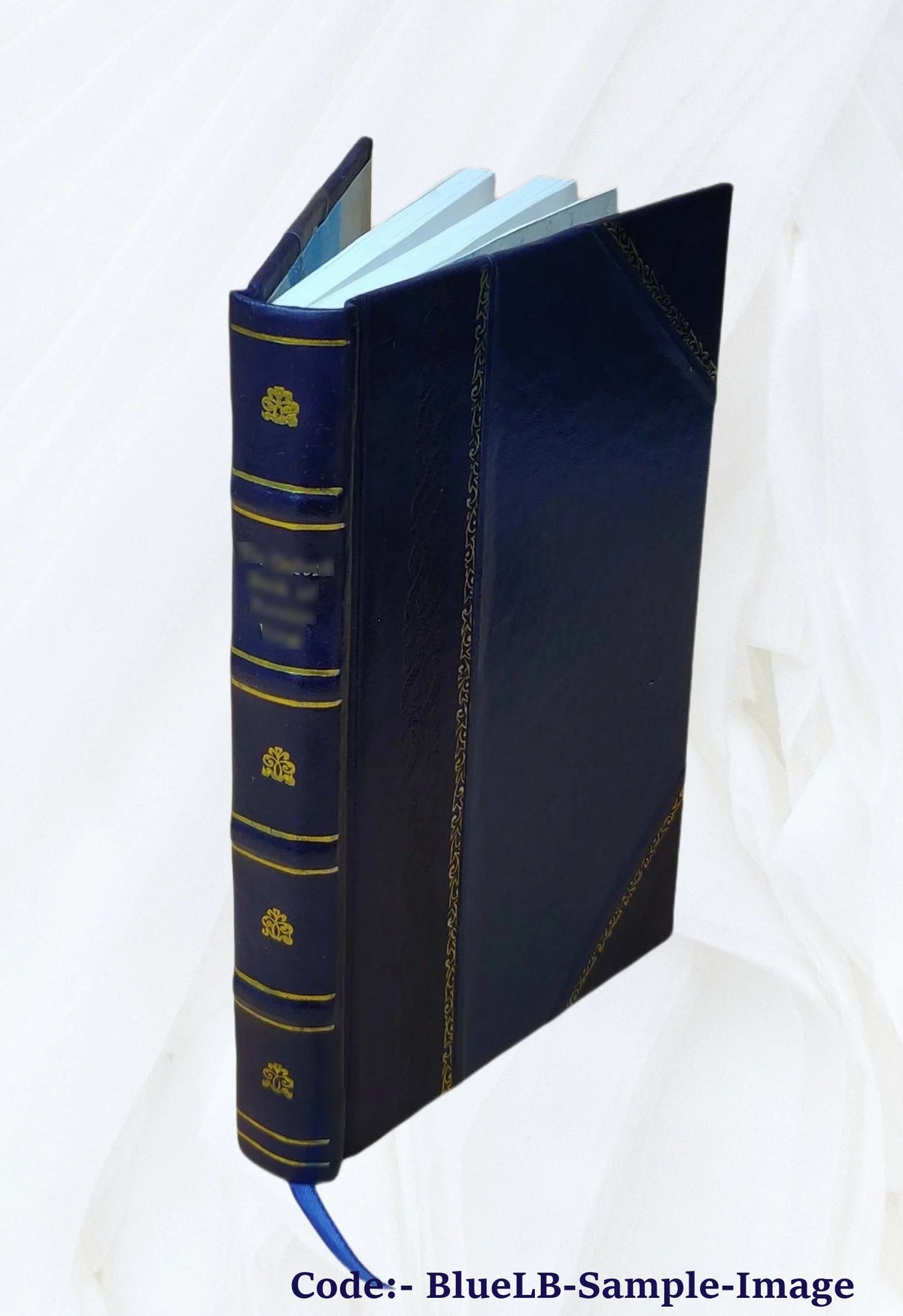 Leather Bound Book Z9562
