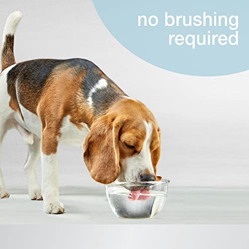32 oz Dog Water Additive X446015