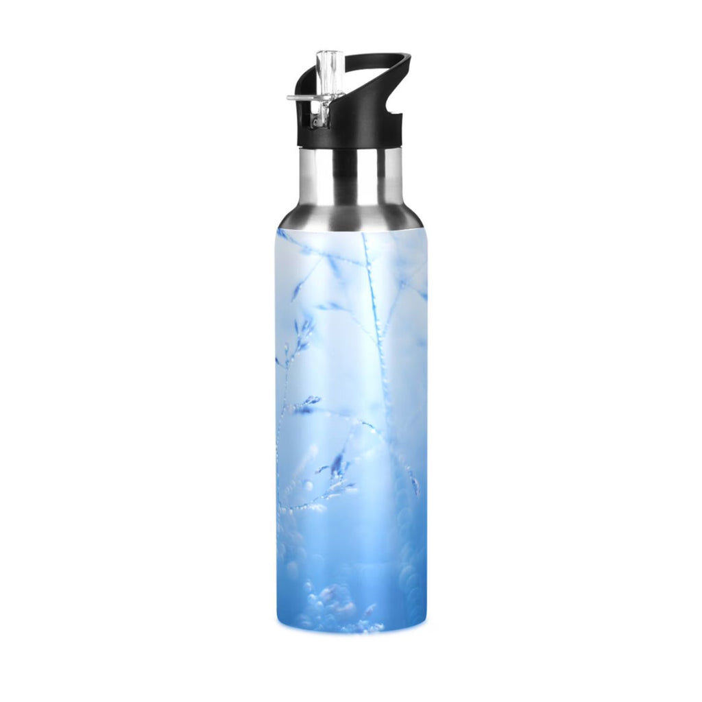 Blue Insulated Stainless Steel Water Bottle with Straw Lid 20 oz D715373