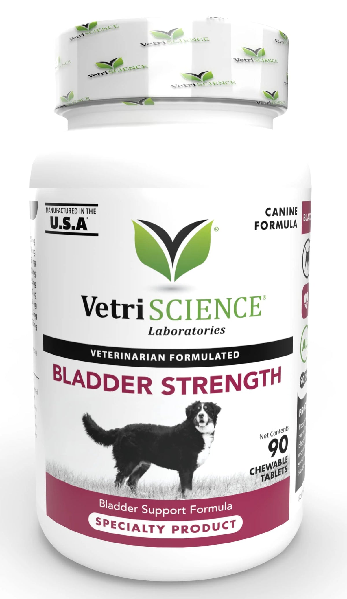 Bladder Strength Supplement for Dogs Y743694