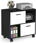 2 Drawer Wood File Cabinet with Shelves and Wheels H5180