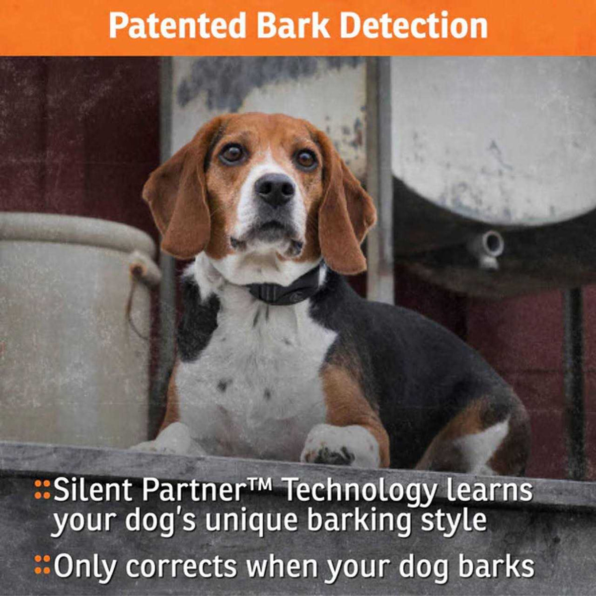 NoBark Bark Collar B540926