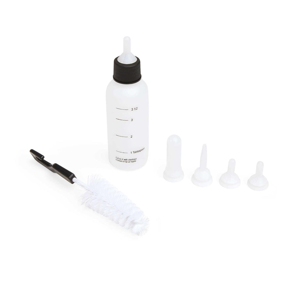 Kitten Nursing Bottle Kit D401555