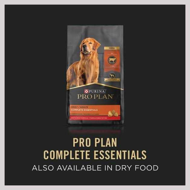 Beef Entree Wet Dog Food W28754