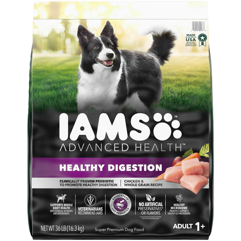 Healthy Digestion Dry Dog Food with Real Chicken C82593