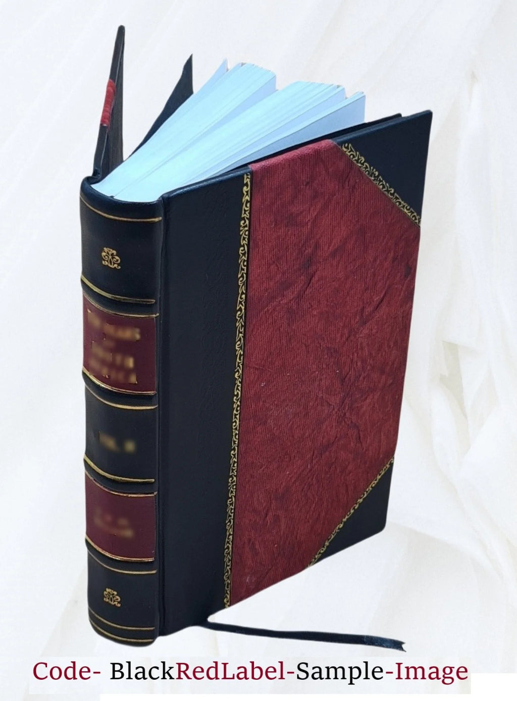 Leather Bound Book Z9562